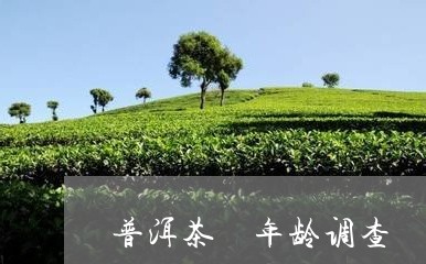 普洱茶 年龄调查/2023041259370